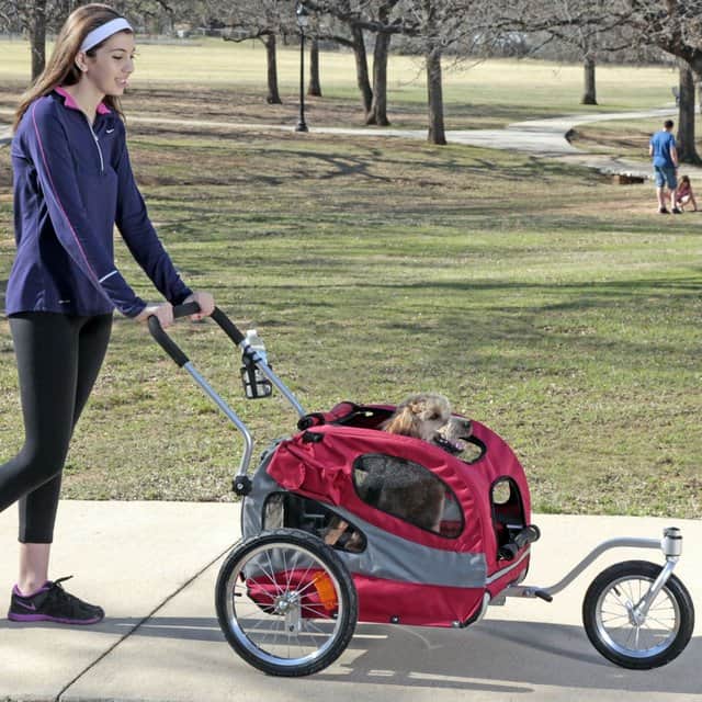 Carrito para perros