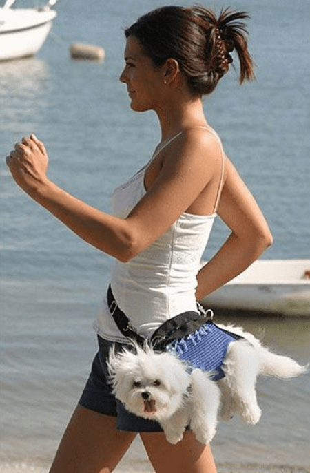 Bolso-perro
