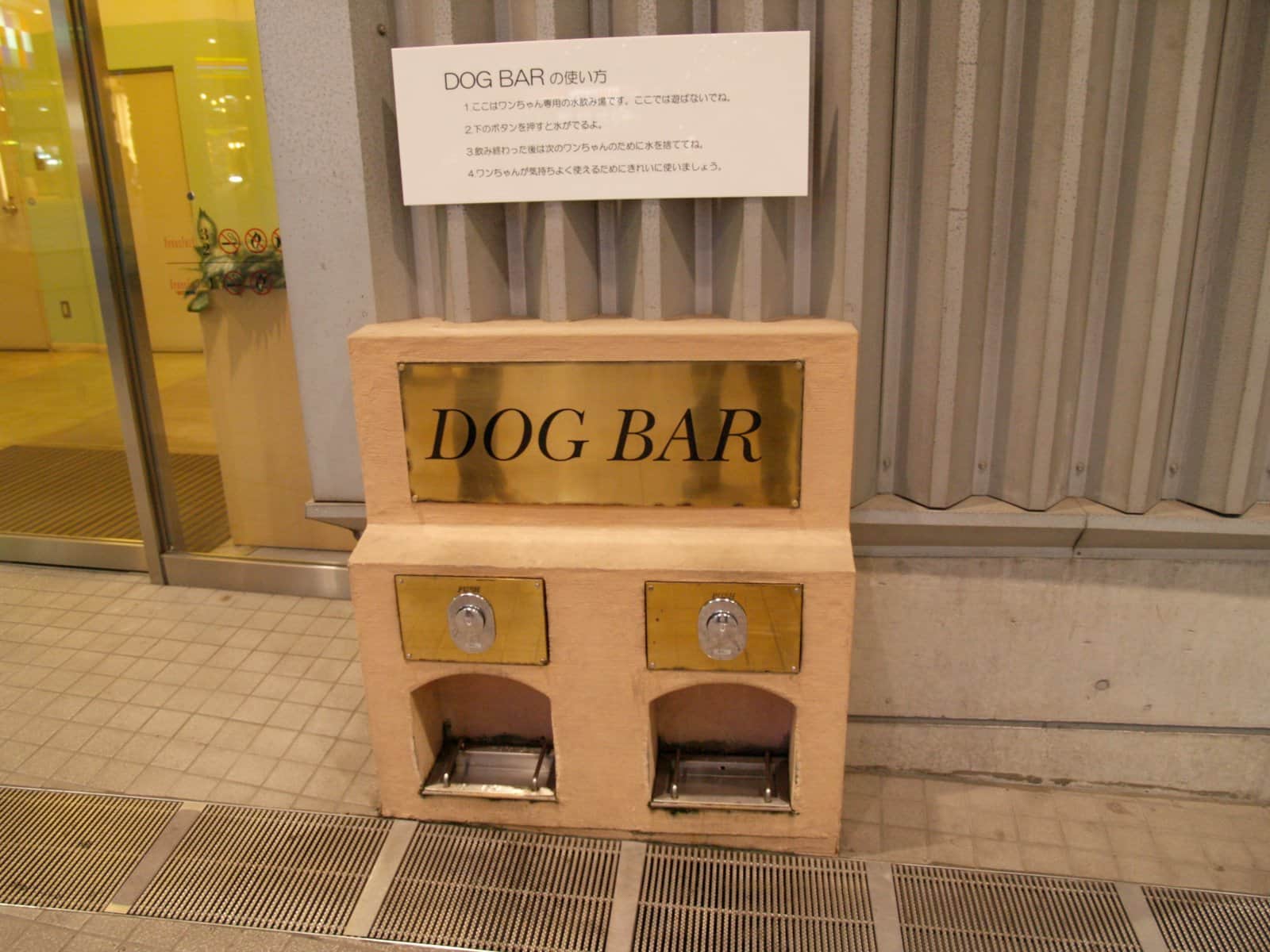 Dog bar en japón