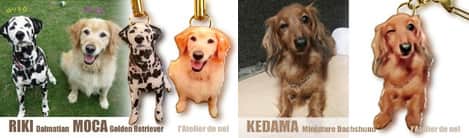 Colgantes para perros