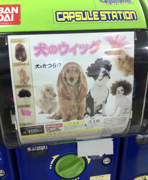 Máquina expendedora de pelucas para perros