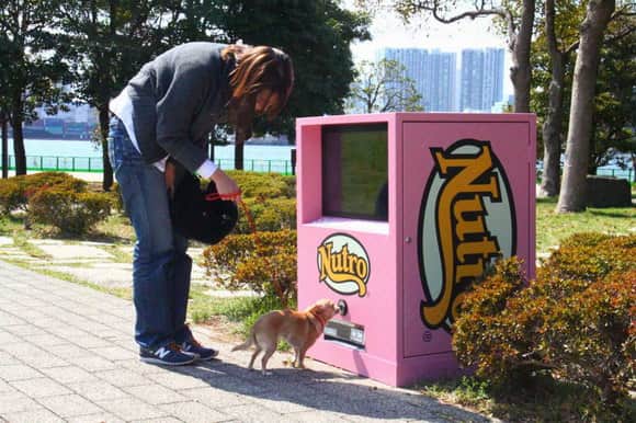 Máquina expendedora para perros
