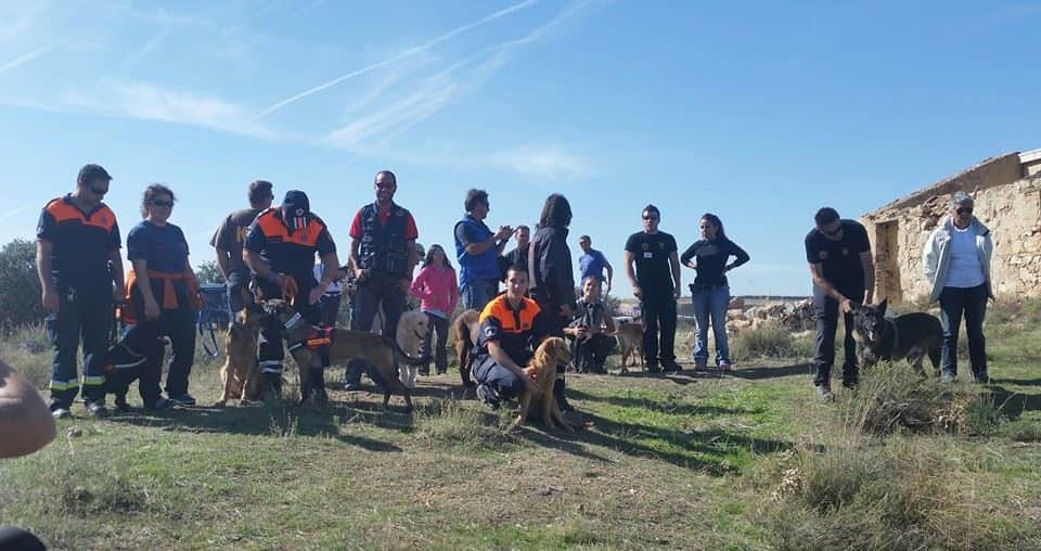 Jornadas de rastreo en grandes áreas