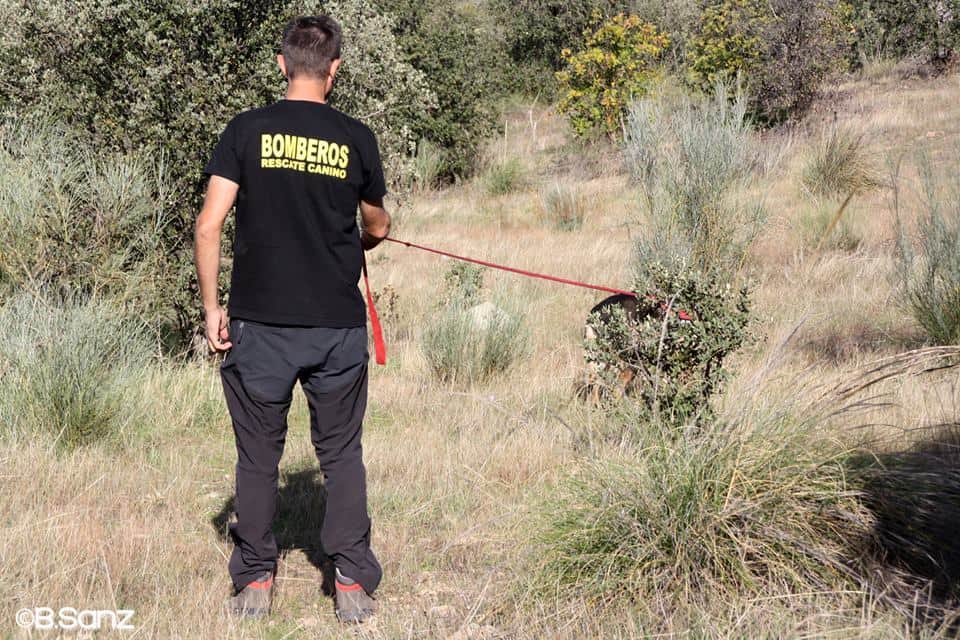 Jornadas de rastreo en grandes áreas