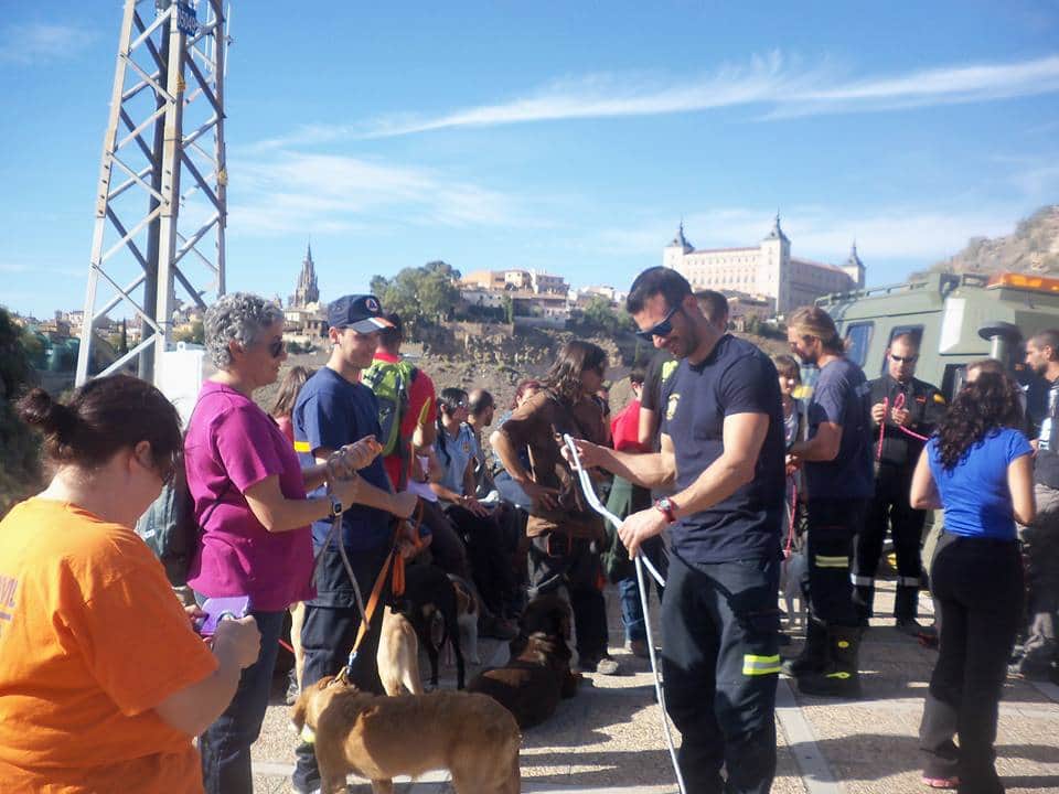 Jornadas de rastreo en grandes áreas