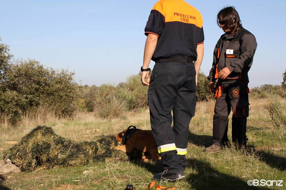 Jornadas de rastreo en grandes áreas