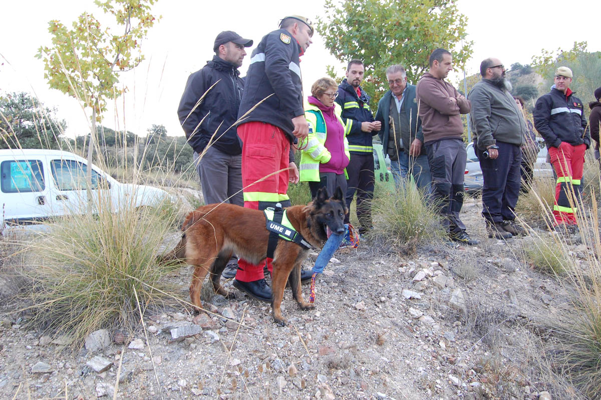 Rescate Toledo