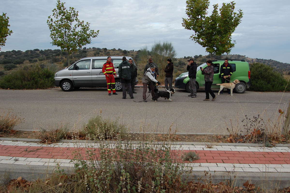 Rescate Toledo