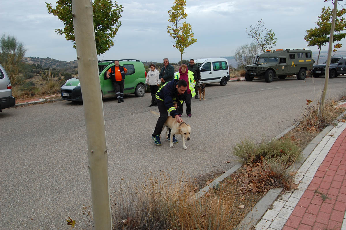 Rescate Toledo