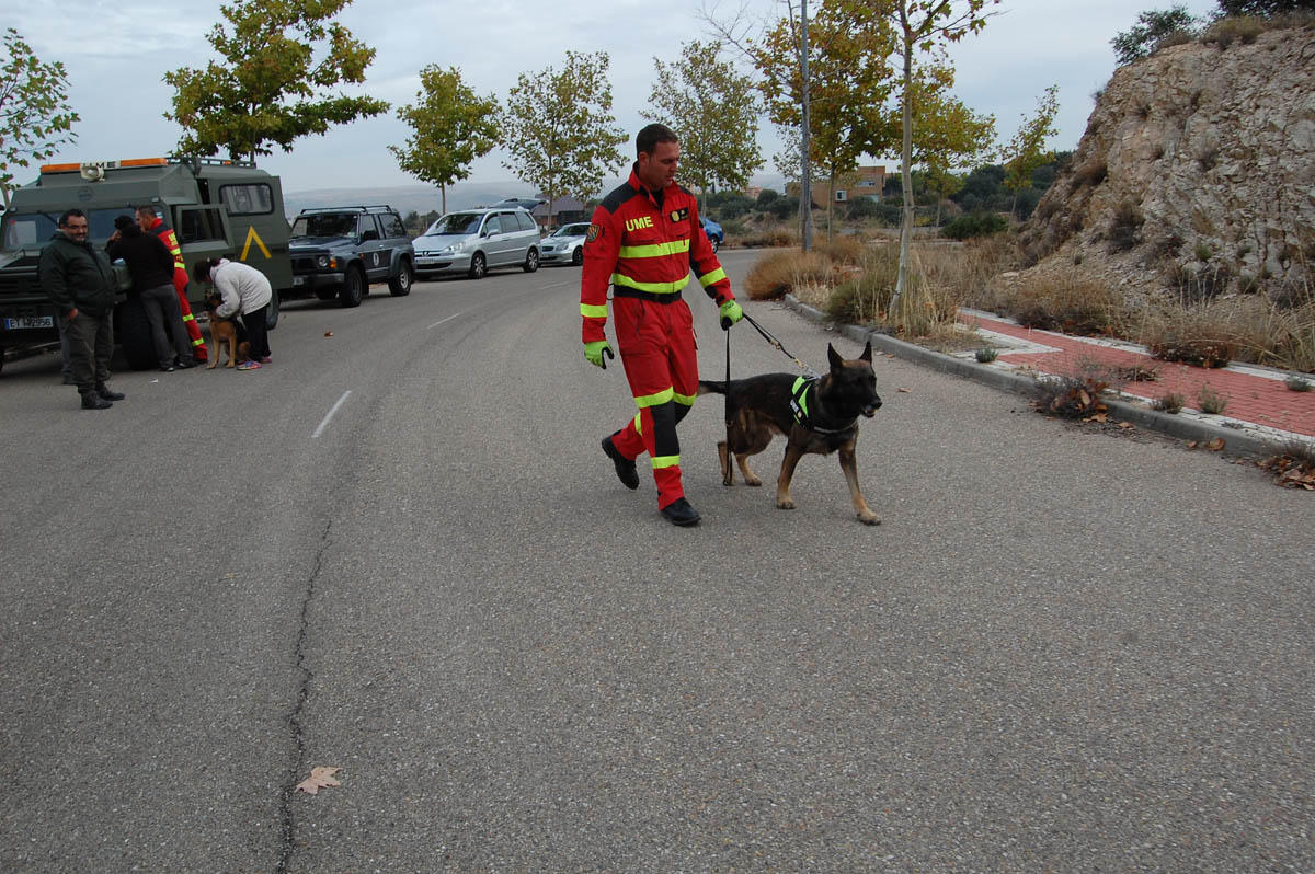 Rescate Toledo