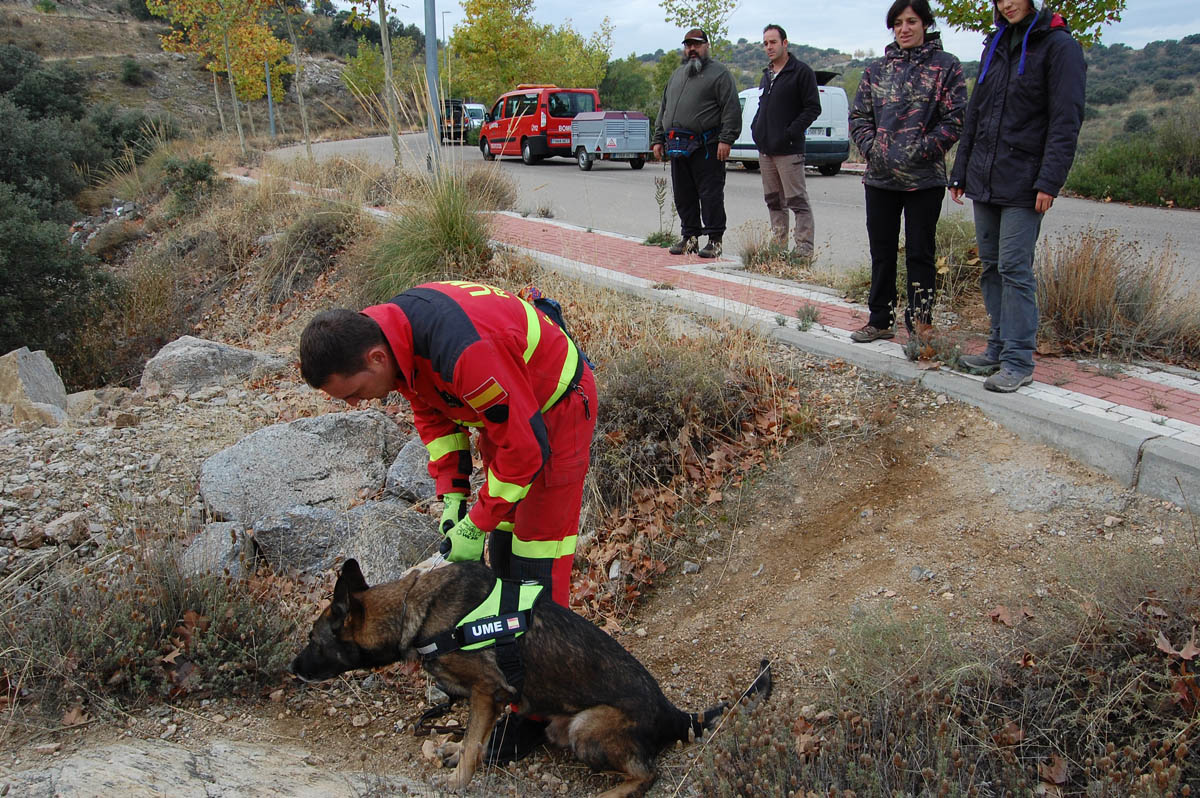 Rescate Toledo