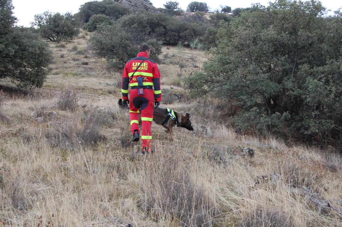 Rescate Toledo