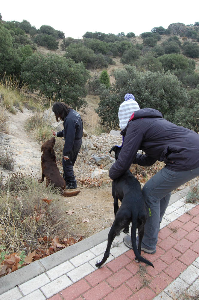 Rescate Toledo