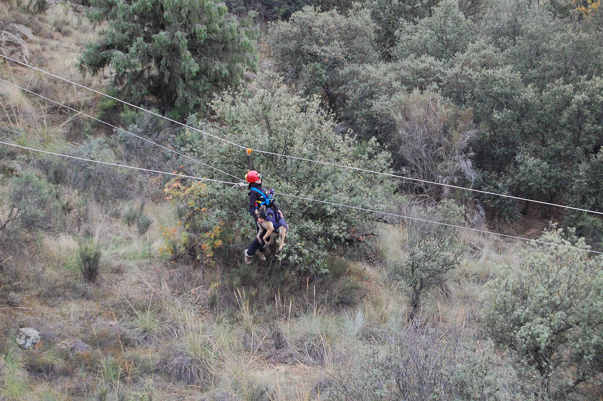 Rescate Toledo