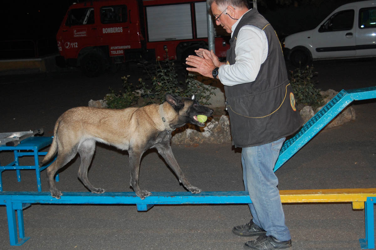 Rescate Toledo