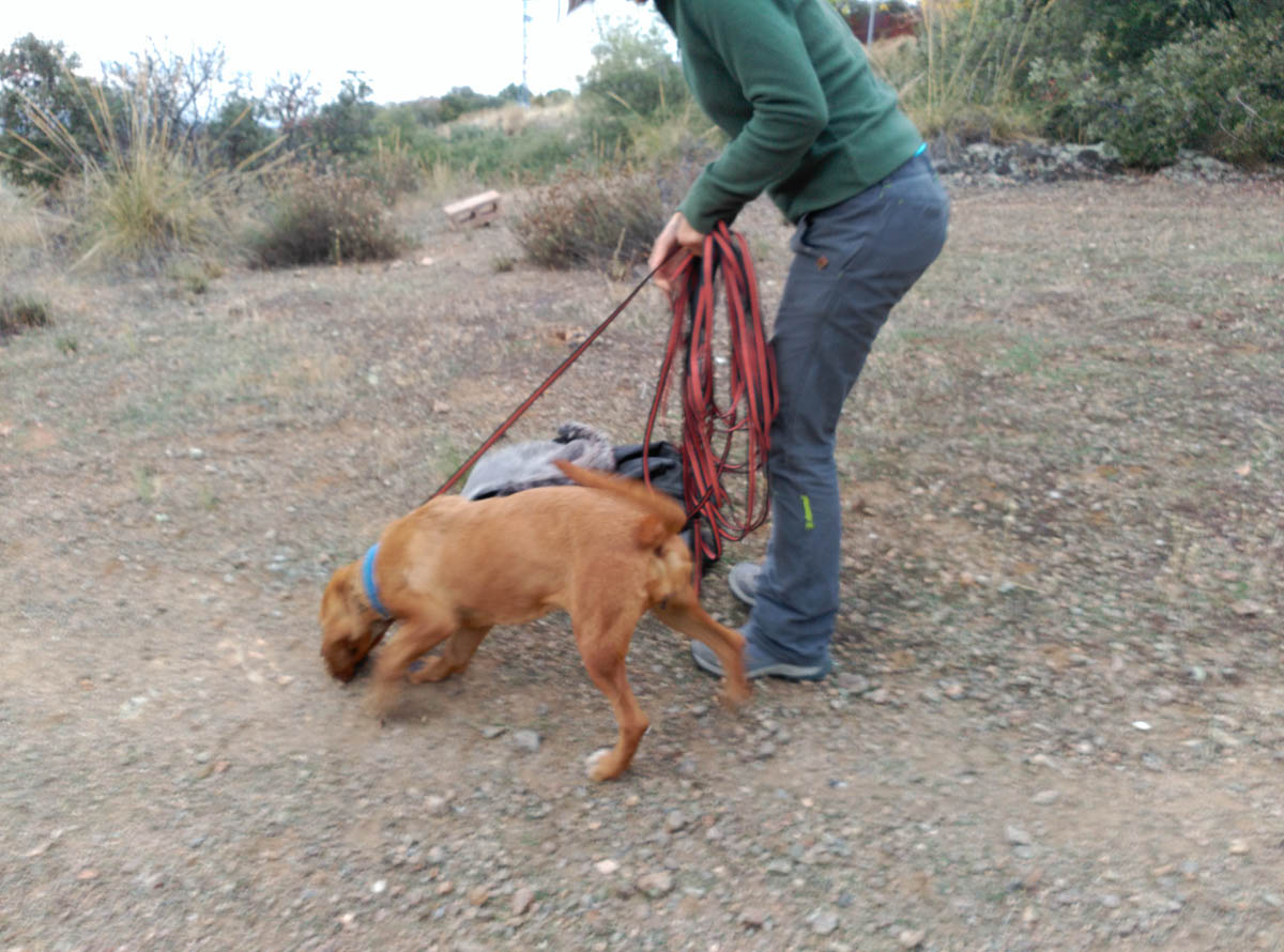 Rescate Toledo