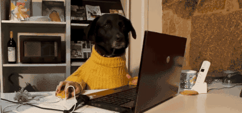 ¿Cuantos hogares tienen perros en Madrid?